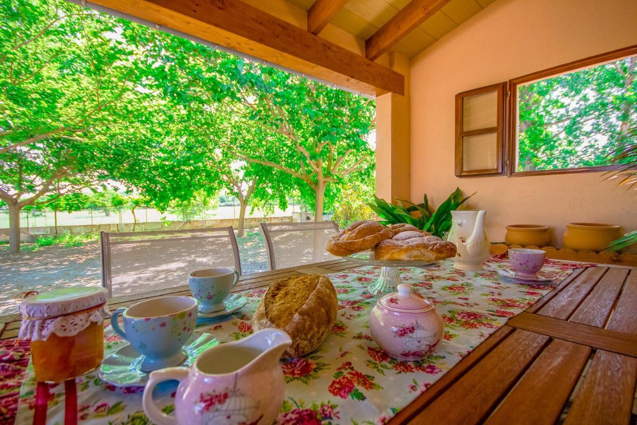Can Malanyo Alcudia  Dış mekan fotoğraf